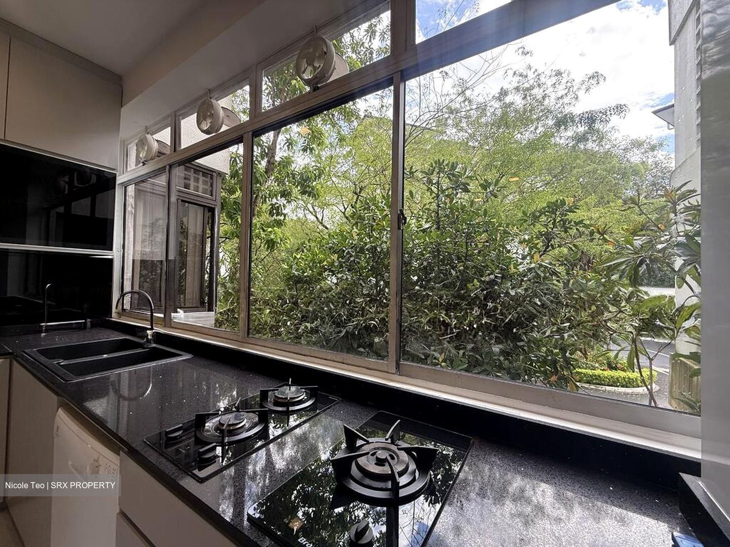 Astrid Meadows (D10), Condominium #498716801